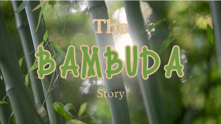 Story of BAMBUDA